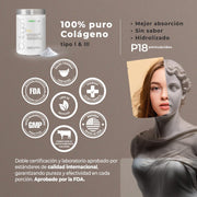 Collagen P18